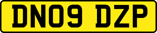 DN09DZP