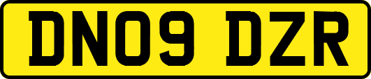DN09DZR