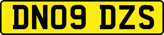 DN09DZS