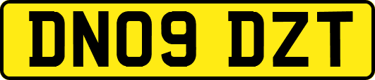 DN09DZT