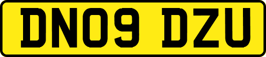 DN09DZU