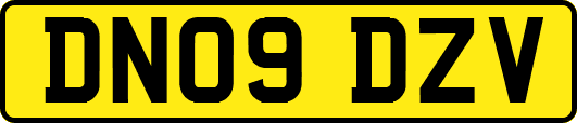 DN09DZV