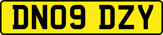 DN09DZY