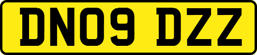 DN09DZZ
