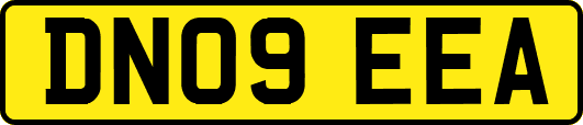DN09EEA