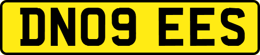 DN09EES