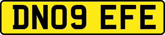 DN09EFE