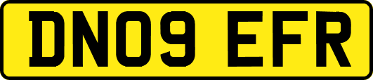 DN09EFR