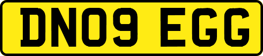 DN09EGG