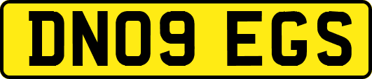 DN09EGS
