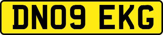 DN09EKG