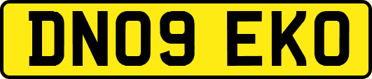 DN09EKO
