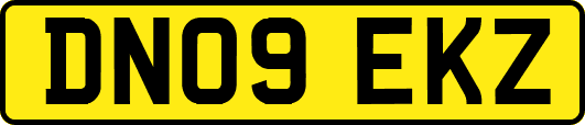 DN09EKZ