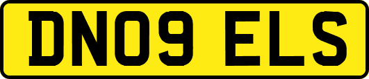 DN09ELS
