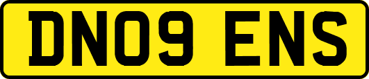 DN09ENS