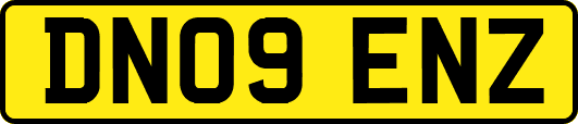 DN09ENZ