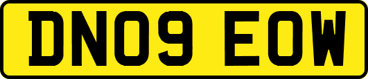 DN09EOW