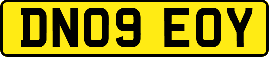 DN09EOY