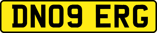 DN09ERG