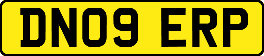 DN09ERP