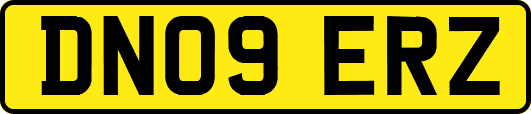 DN09ERZ