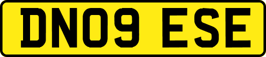 DN09ESE