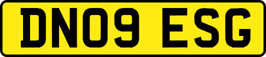 DN09ESG