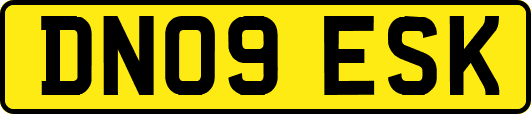 DN09ESK