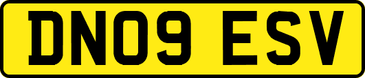 DN09ESV