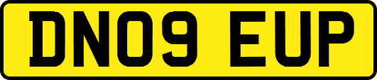 DN09EUP