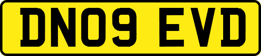 DN09EVD