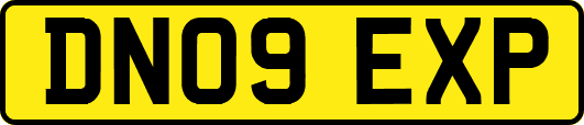 DN09EXP