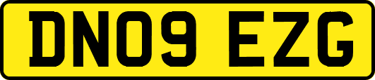 DN09EZG