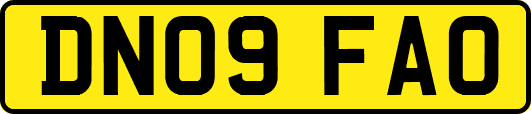 DN09FAO