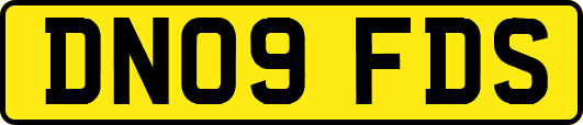 DN09FDS