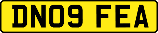 DN09FEA