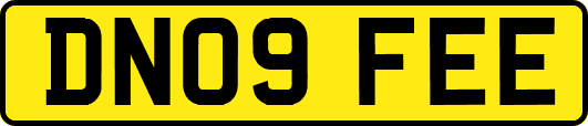 DN09FEE