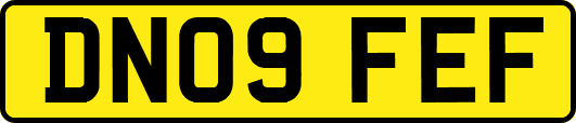 DN09FEF
