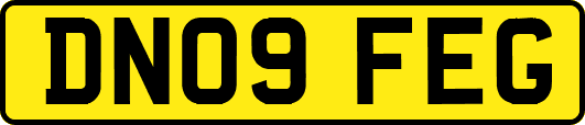 DN09FEG