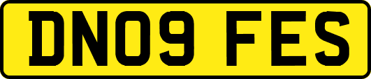 DN09FES