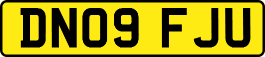 DN09FJU