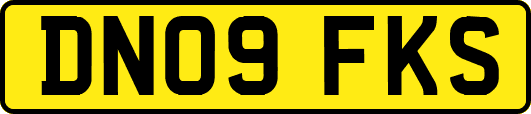 DN09FKS