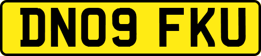DN09FKU