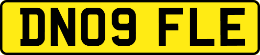 DN09FLE