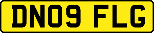 DN09FLG
