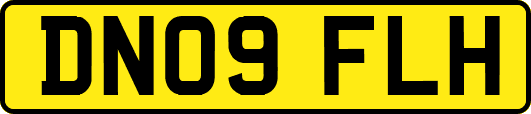 DN09FLH