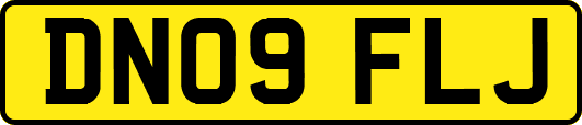 DN09FLJ
