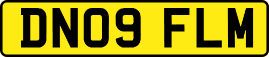 DN09FLM