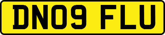 DN09FLU