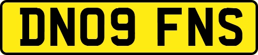 DN09FNS